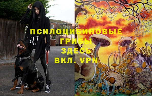 молекула духа Аркадак