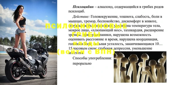 молекула духа Аркадак