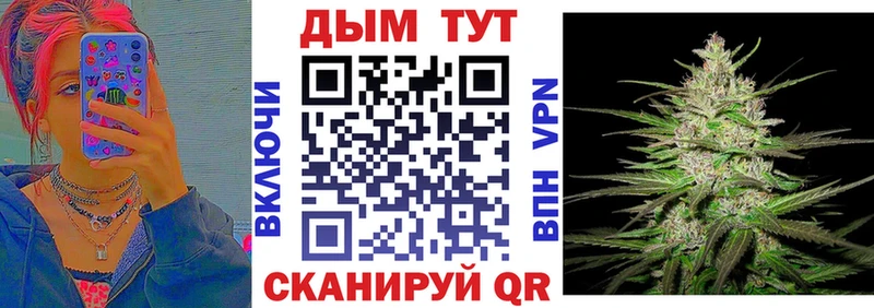 Марихуана гибрид  Кашин 